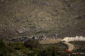 WRC_RIS_2017_Rally-Italia-Sardegna (148)