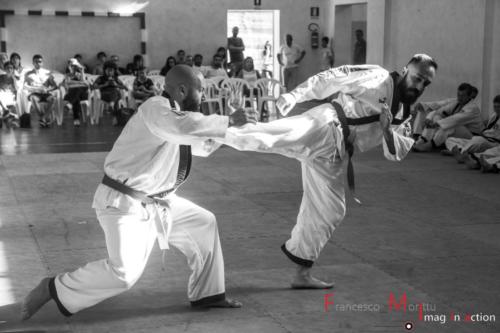 Stage Hapkido Ozieri 2018